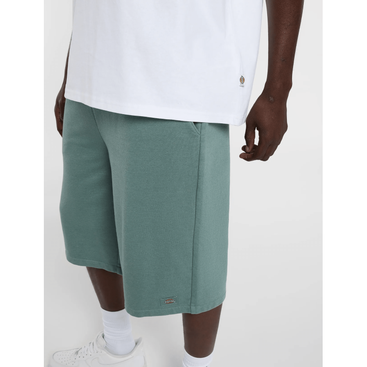 Dickies T-shirt White -  DK0A88GO0WH1