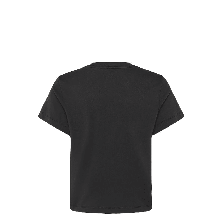 Vans Flying V Crew T-Shirt Black (VN0A3UP4BLK)